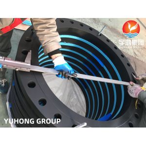 Customized ASTM A105 / A105N Carbon Steel Black Painted Flange PT UT Available