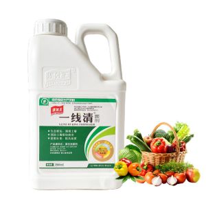 Soil Conditioner Organic Humic Fulvic Acid Powder High Concentration