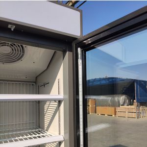 220V Voltage Upright Glass Door Freezer Digital Thermostat Air Cooling R290