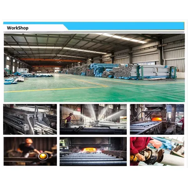 Stainless Steel ASTM A312/A213/A269 Tp316L/TP304/TP304L Cold/Hot Rolled Seamless Steel Pipe/Tube