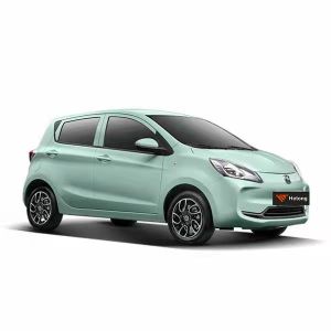 Changan Benben Electric Car 4 Wheels Electric Vehicle with 30.95kWh/100KM