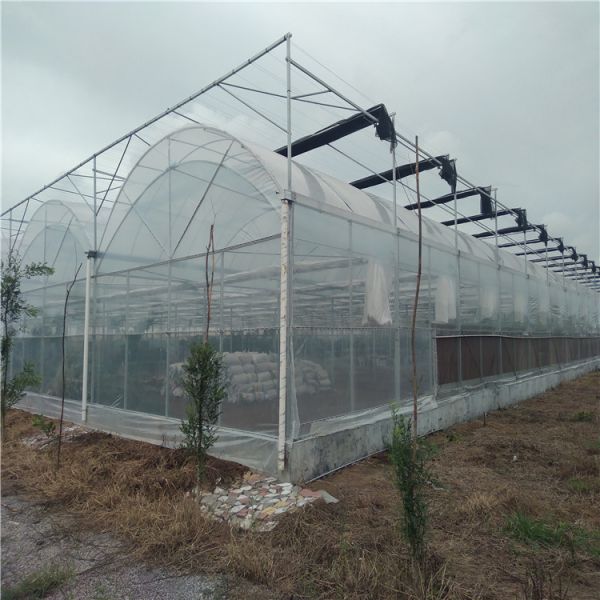 Buy Custom Design and Double Arch Beam Greenhouse for Tomato/Cucumber Growing Large Size at wholesale prices