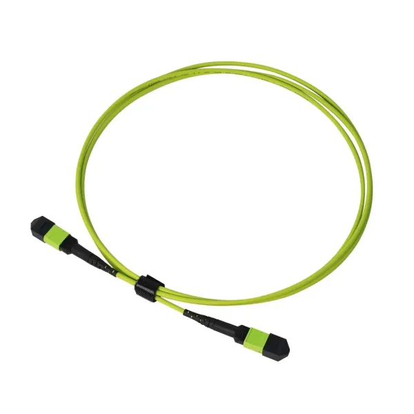 16f Elite Om5 MTP Ofnr Male Female Fiber Optic Fiber Jumper Cable Patch Cord