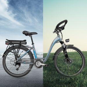 Full Suspension Cargo Bike 26in Multifeature With 7500mAh Lithium Battery