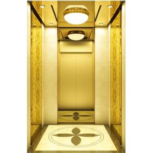 Infrared Photocell Commercial Passenger Elevator 3m/s 8 Person Passenger Lift