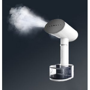 Travel-Friendly 2000W Electric Garment Steamer 250ml Water Tank Hair Brush