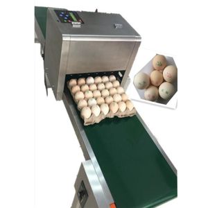 600DPI High Resolution Code Printing Machine , Batch Coding Machine For Eggs