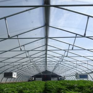 Single Span Tunnel Blackout System Hydroponic Light Deprivation Greenhouse