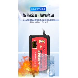 90W Output Power Electric Scooters Bicycle Bike Customized 24V 12AH 36V 20AH 48V