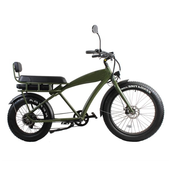 DOMANCA Standard Fat Tire Electric Bike with 2 Seat Lithium Battery Power Supply