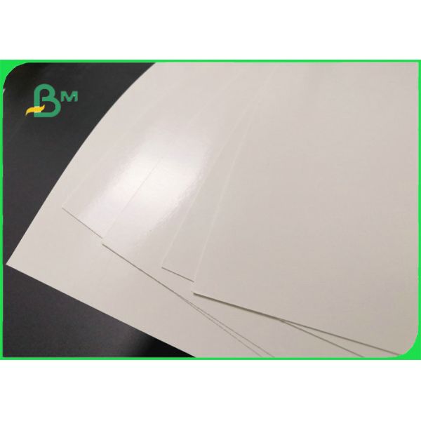 300gsm + 15g PE White Recyclable Paper For Lunch Boxes Greaseproof 70 x 100cm