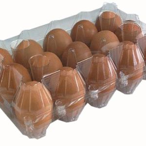 9pcs Stackable Plastic Egg Holder 152mm Square Incubator Egg Setting Tray