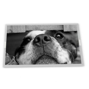 6.5'' / Lcd Panel LQ065T5BR07 Tft Lcd Screen