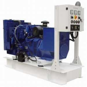 Quality Genset Diesel Generator With Brushless Alternator for sale