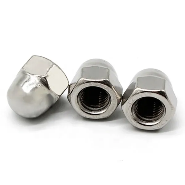 DIN1587 Stainless Long Small Hex Head Domed Cap Nut for Decorative Cars Motorcycle