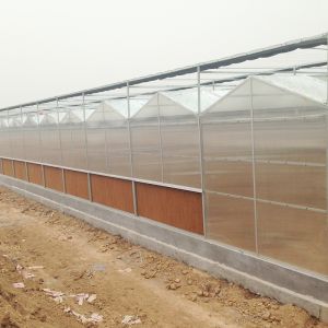 Inside Outside Shading System Hot Galvanized Steel Frame Large Polycarbonate