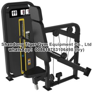 Gym Fitness Equipment Seated dip / Triceps extension exercise machine