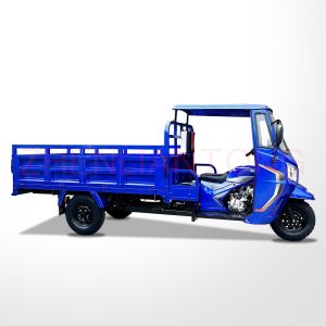 250cc Single Cyclinder 4 Stroke Trikes with Front Disc and Rear Drum Brake