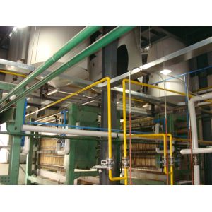 China Sesame Pumpkin Seed Oil Press Machine on sale