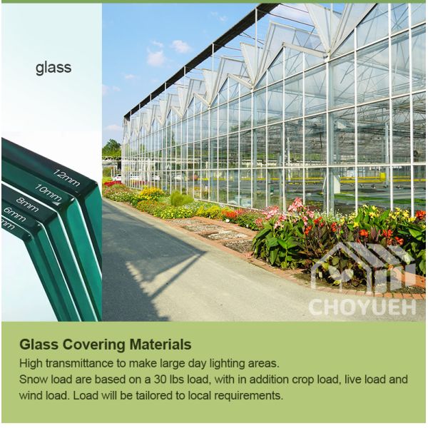 Hot Galvanzied Steel Pipe Agricultural Venlo Glasshouse Turnkey Project