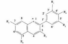 high quality cranberry fruit powder sample free--Cranberry juice