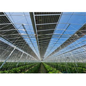 Indoor Greenhouse Solar System Farming Innovative Dynamic Photovoltaic Frameless