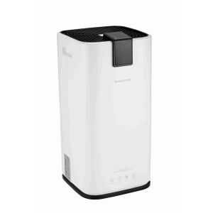 Auto Restart 20L Per Day 4.5L Home Small Dehumidifier