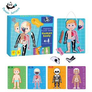 Magnetic Jigsaw Puzzle Preschool Learning Toys , Human Body Bones And Muscles Toys Aged Over Three