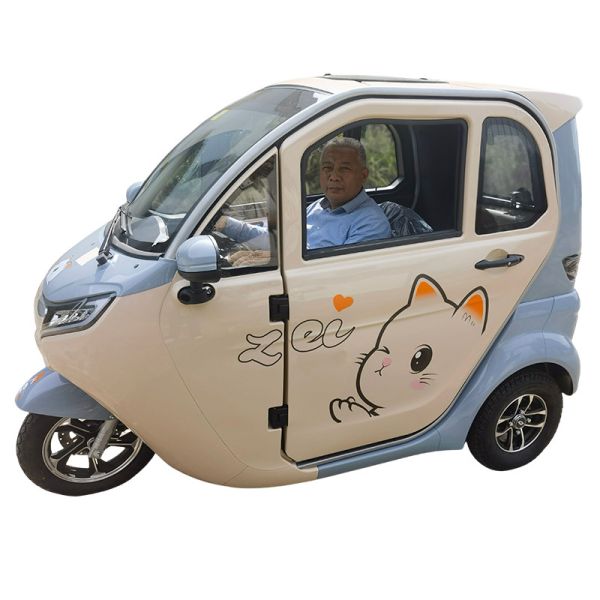 Buy Factory Wholesale e-trike 1200W 3 wheel electric car adult electric tricycle with EEC certificate at wholesale prices