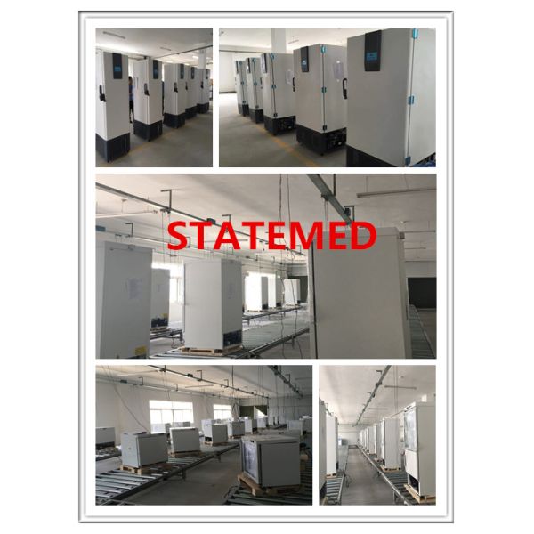 280L - 840L Laboratory Deep Freezer -40℃ ~ -86℃ Upright ULT Freezer