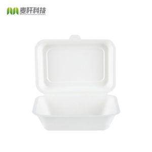 Eco-Friendly 100% Compostable Sugarcane/Bagasse Heavy Duty container