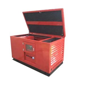 BL10000CJ Portable Electric Start Diesel Generator Super Silent