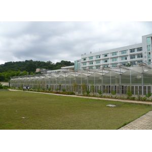 9.6m Tunnel Width Polycarbonate Greenhouse for Sustainable Agricultural