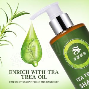 Natural Organic Anti Inflammation Anti Hair Loss Beauty Hair Shampoo Tea Tree