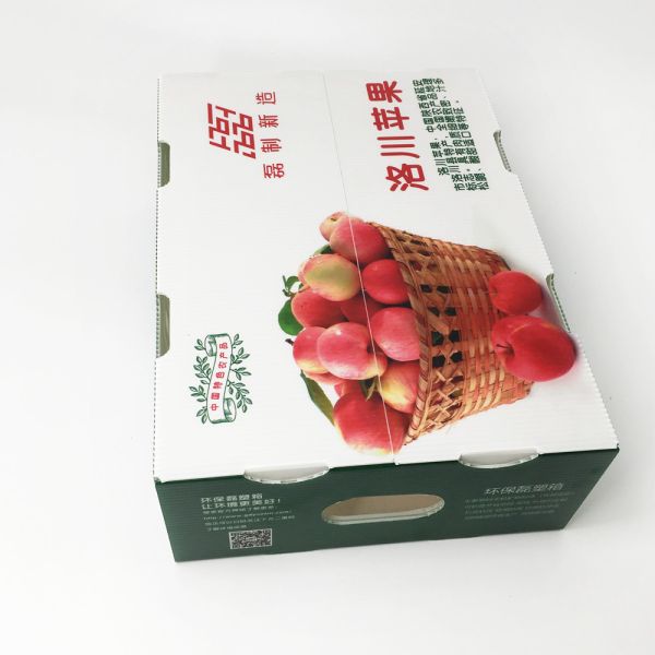 20Kgs Apple Plastic Corrugated Foldable Boxes Non Toxic Stackable
