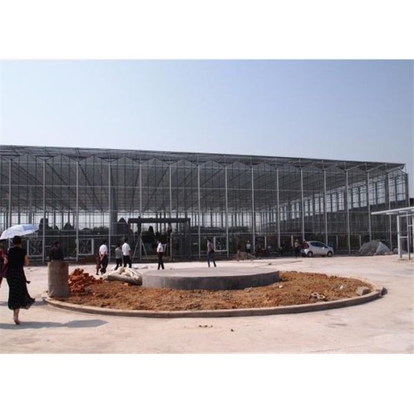 Buy Large Size Venlo Type Glass Greenhouse Hot Galvanized Steel Skeleton Material at wholesale prices