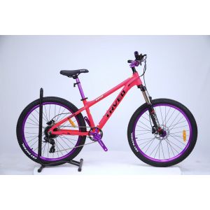 Steel Fork Sports Mountain Bike with Load Capacity of 150KG and SMN M6000
