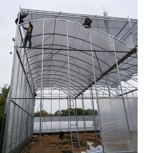 High Roof Plastic Uv Greenhouse With Natural Ventilation For Rainy Climates