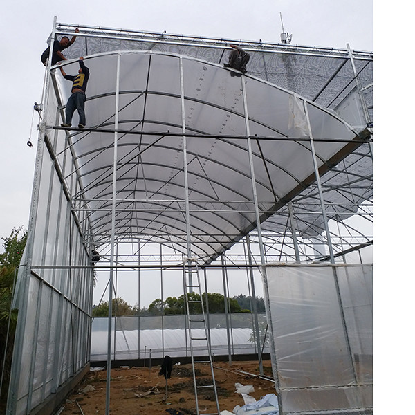 High Roof Plastic Uv Greenhouse With Natural Ventilation For Rainy Climates