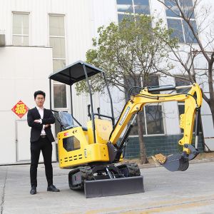 Remote Control Mini Excavator 1 Ton Hydraulic Digger CE EPA