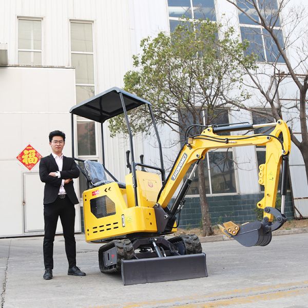 Remote Control Mini Excavator 1 Ton Hydraulic Digger CE EPA