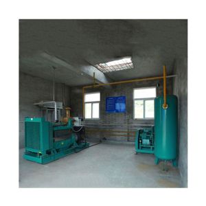 Cost Effective Biogas Purification Equipment With Stable Power Supply