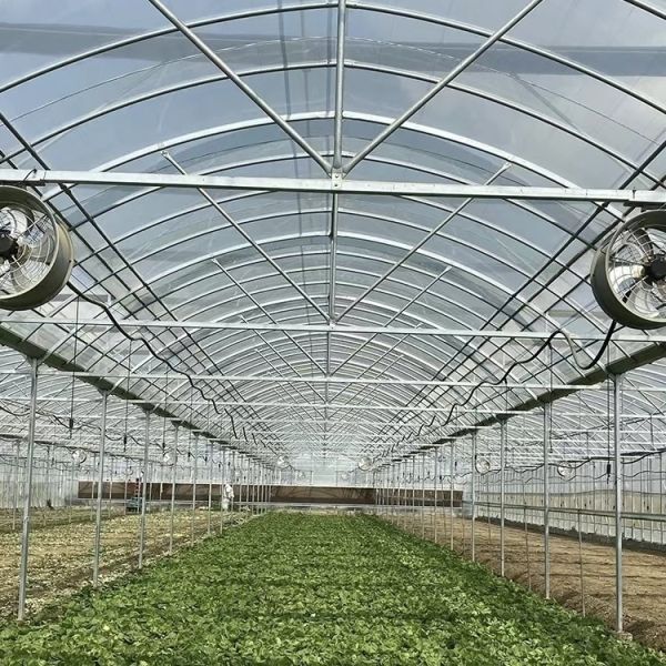 China Supplier Multi Span Po Film Greenhouse