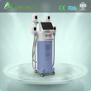 4 handles cryotherapy criolipolise criolipolysis head fat reduction freezefats