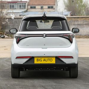 32.56kW.h Lithium Iron Phosphate Battery Pure Electric Car Joy 01 Long Range Car