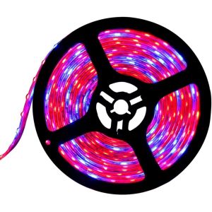 24v Grow Lights for Indoor Plants, Full Spectrum led Grow Light Plant Light for