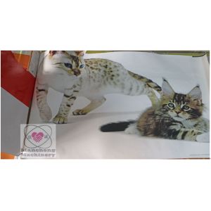 LC4060/6080/6090 Flat Bed Microcomputer t shirt screen printing machine plane