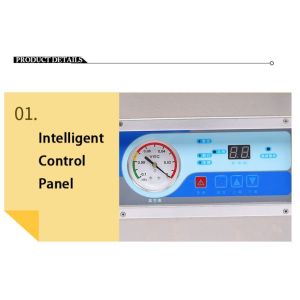 Table/Stand Household Dry Fish Vacuum Packing Machine Dz260 Vacuum Sealer 2 bags