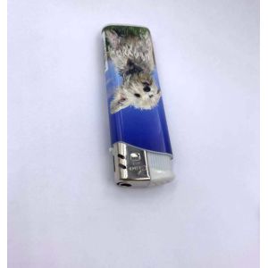 Plastic Transparent Disposable Cigarette Lighter Refillable Gas Encendedor