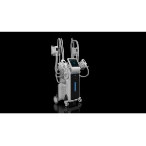 Quality Criolipolisis machine freeze fat Cryolipolysis cool shaping body sculpting machine for sale